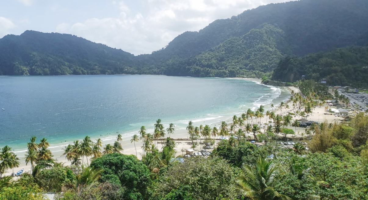 Palm-lined beach beneath green Caribbean mountains